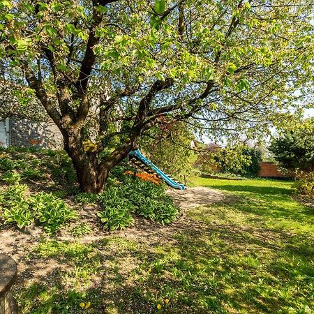Vila Slunecni Stran Svoboda nad Úpou エクステリア 写真